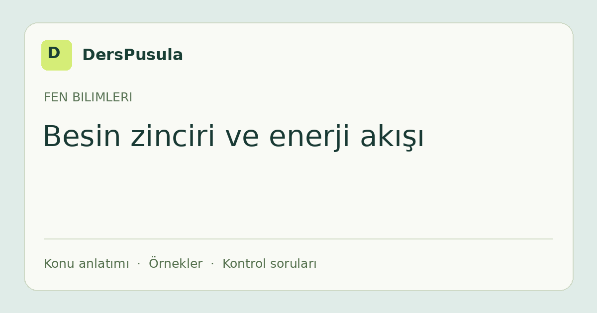Besin zinciri ve enerji akışı için DersPusula konu kartı